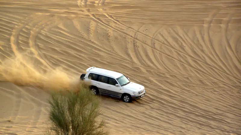 Um 4x4 branco avança sobre dunas douradas levantando um jato de areia, com marcas de pneu na encosta e um arbusto do deserto em primeiro plano.