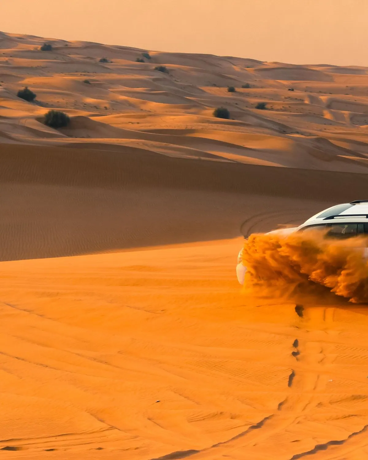 Deserto e natureza
